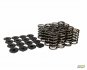 mountune Valve Spring Set (16) Single Mk7 Fiesta ST